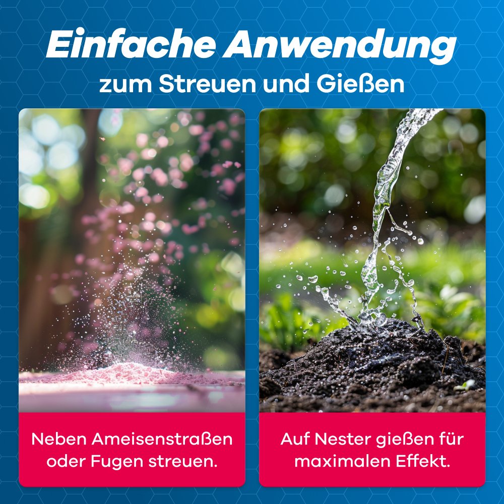 Anleitung zum Bekämpfen von Ameisen: Pulver streuen oder Wasser auf Nester gießen.