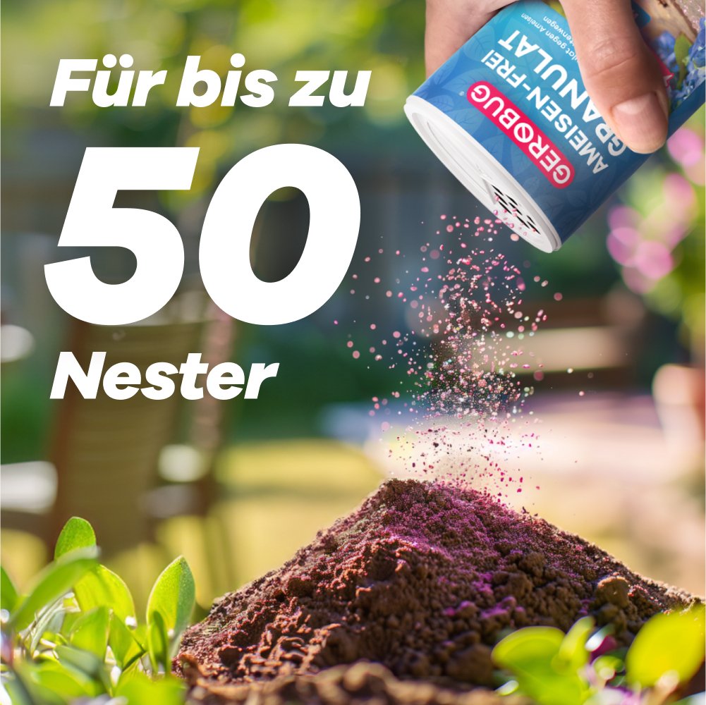 Granulat wird auf ein Ameisennest gestreut, um Ameisen effizient zu bekämpfen.