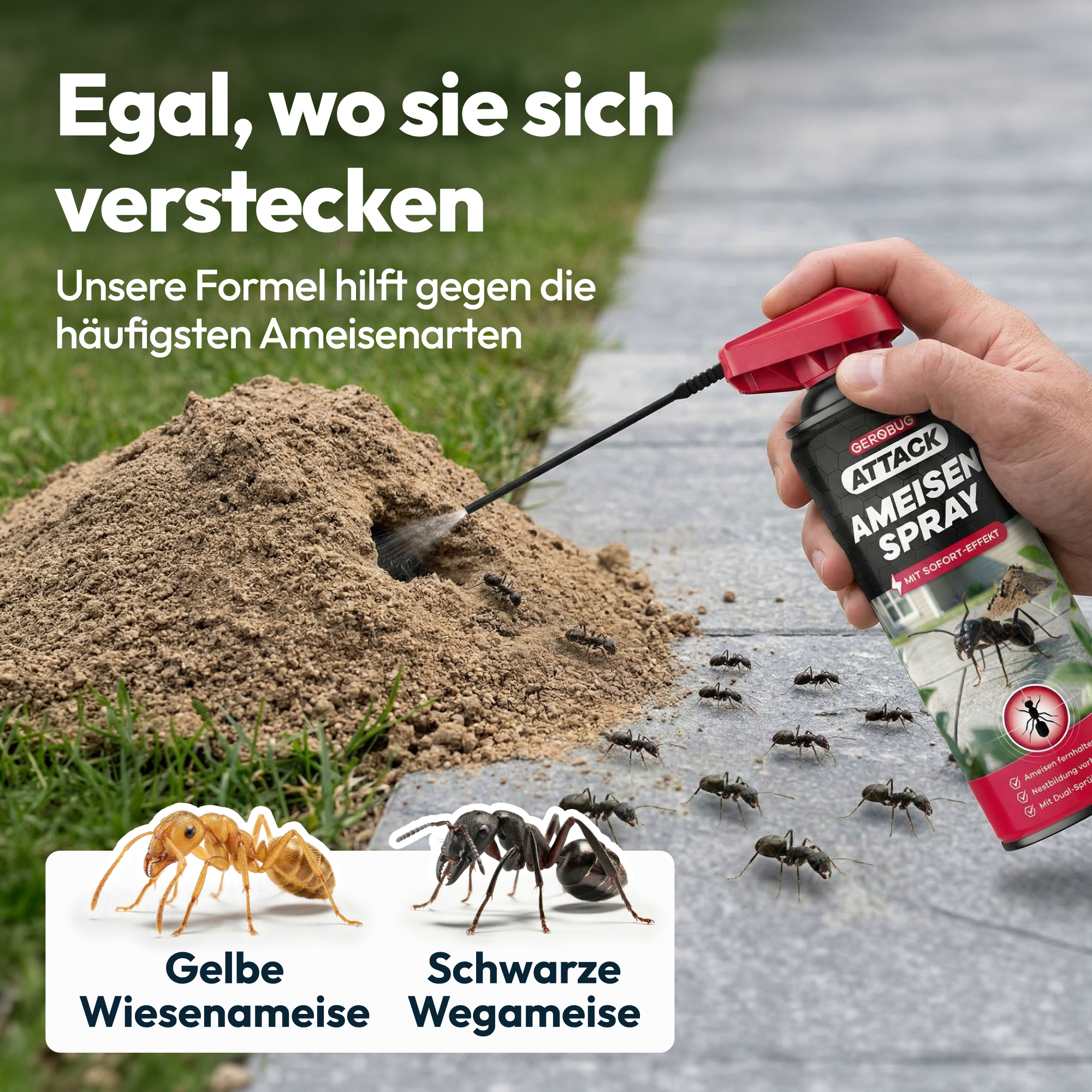 Attack Ameisen Spray