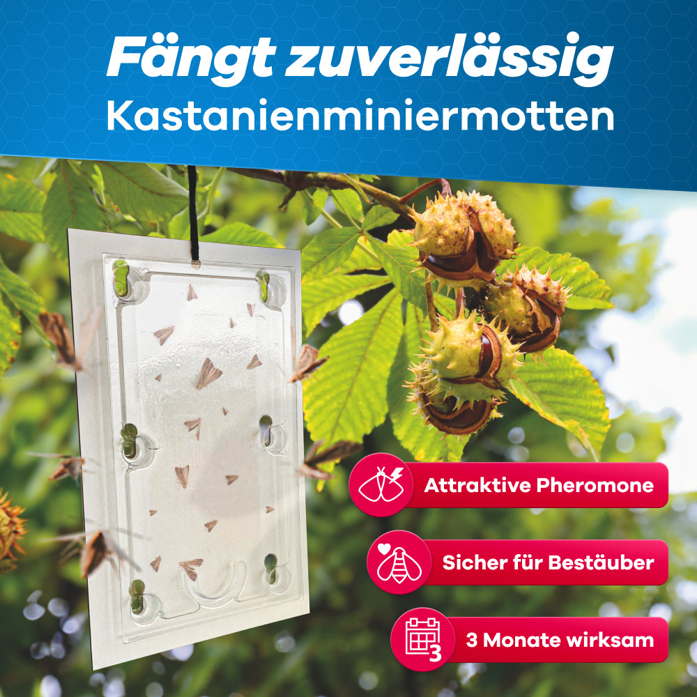 Kastanienminiermotten Pheromonfalle 2 Stk.