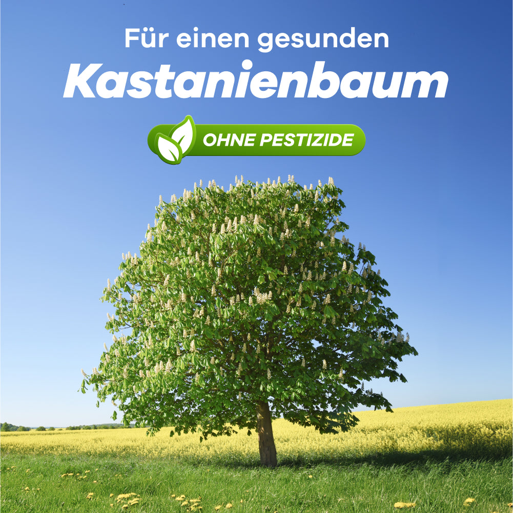 Kastanienminiermotten Pheromonfalle 2 Stk.