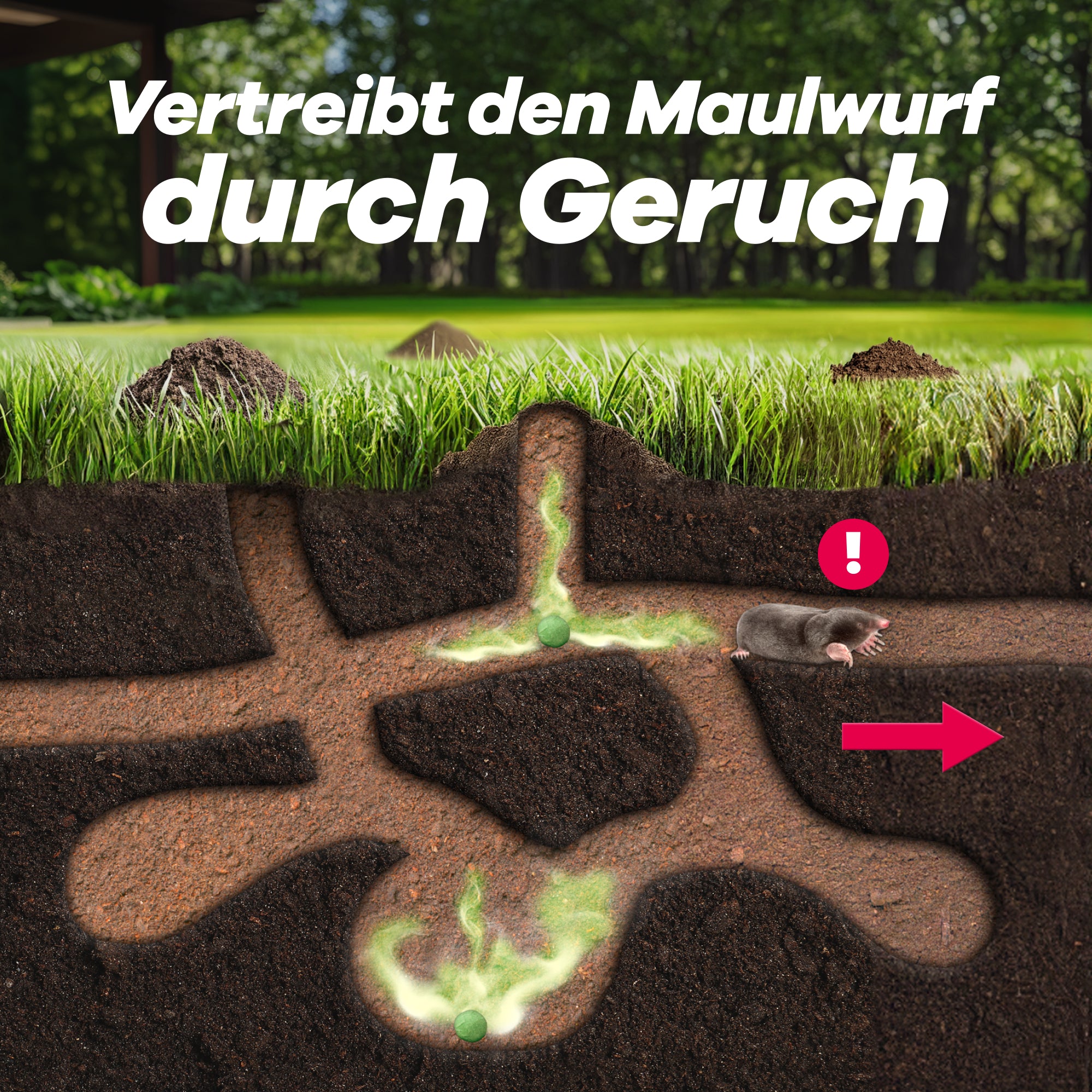 Maulwurf wird durch Geruch des Mittels aus Bau getrieben