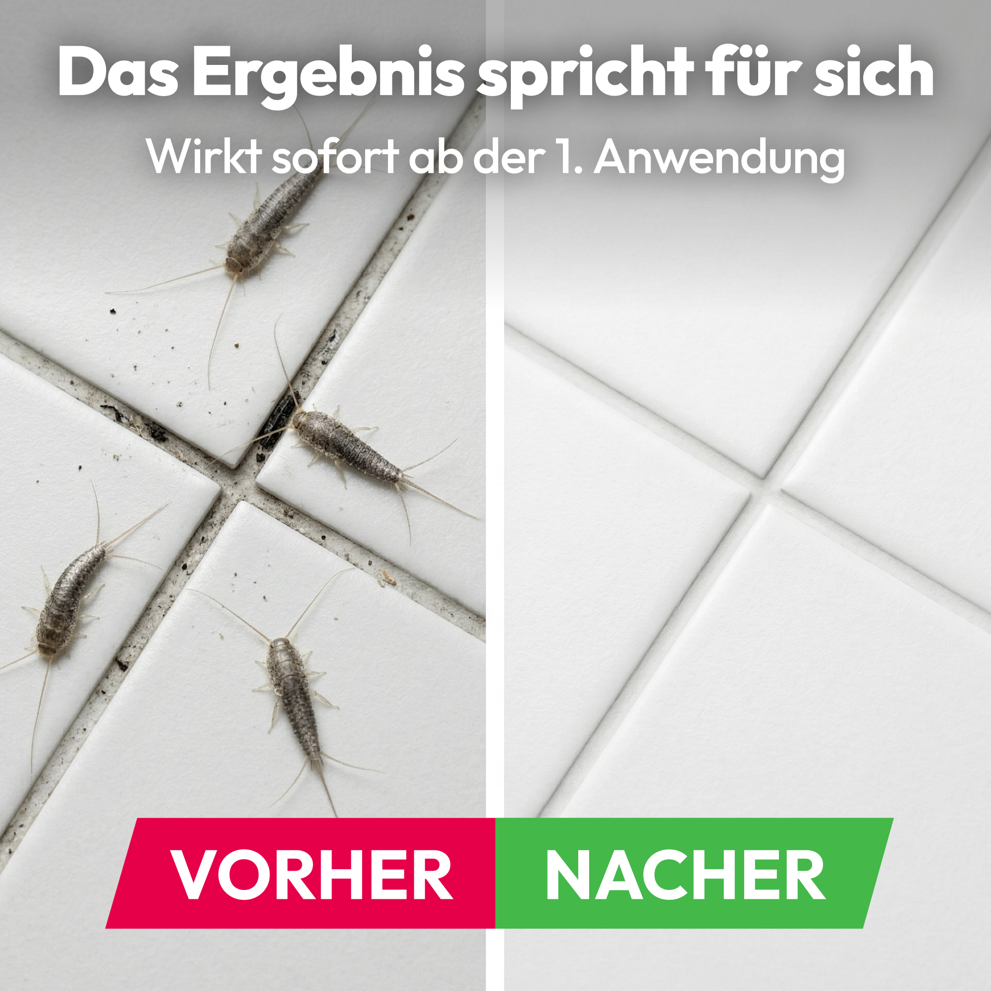 Attack Silberfisch Spray