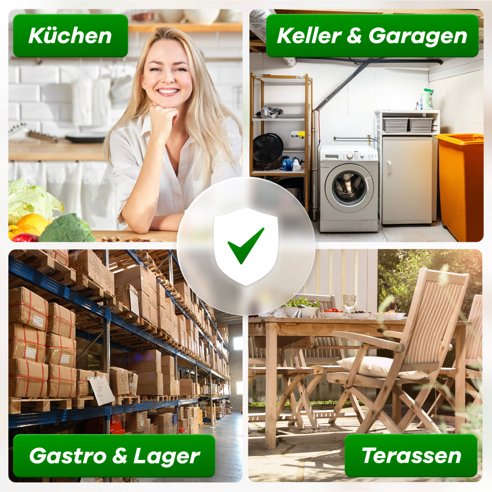 Küche, Keller, Lager, Terasse