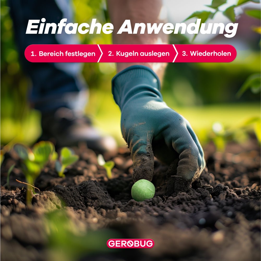 Gärtnerhand legt eine grüne GEROBUG-Kugel in die Erde, um Schädlinge umweltfreundlich zu bekämpfen. Im Hintergrund sprießen junge Pflanzen. Text "Einfache Anwendung" erklärt die Schritte: Bereich festlegen, Kugel auslegen, wiederholen