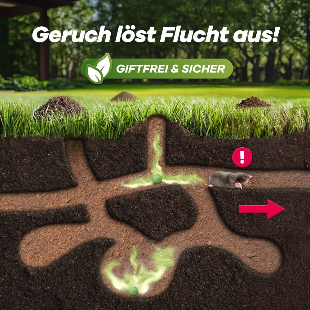 Geruchsfreie, giftfreie und sichere GEROBUG-Köder zur Vertreibung von Maulwürfen in Gartenanlagen.