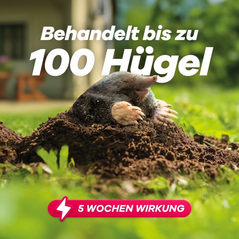 Maulwurf in Garten mit Text 'Behandelt bis zu 100 Hügel' und Hinweis auf 5 Wochen Wirkung des GEROBUG Produkts zur Maulwurfabwehr.