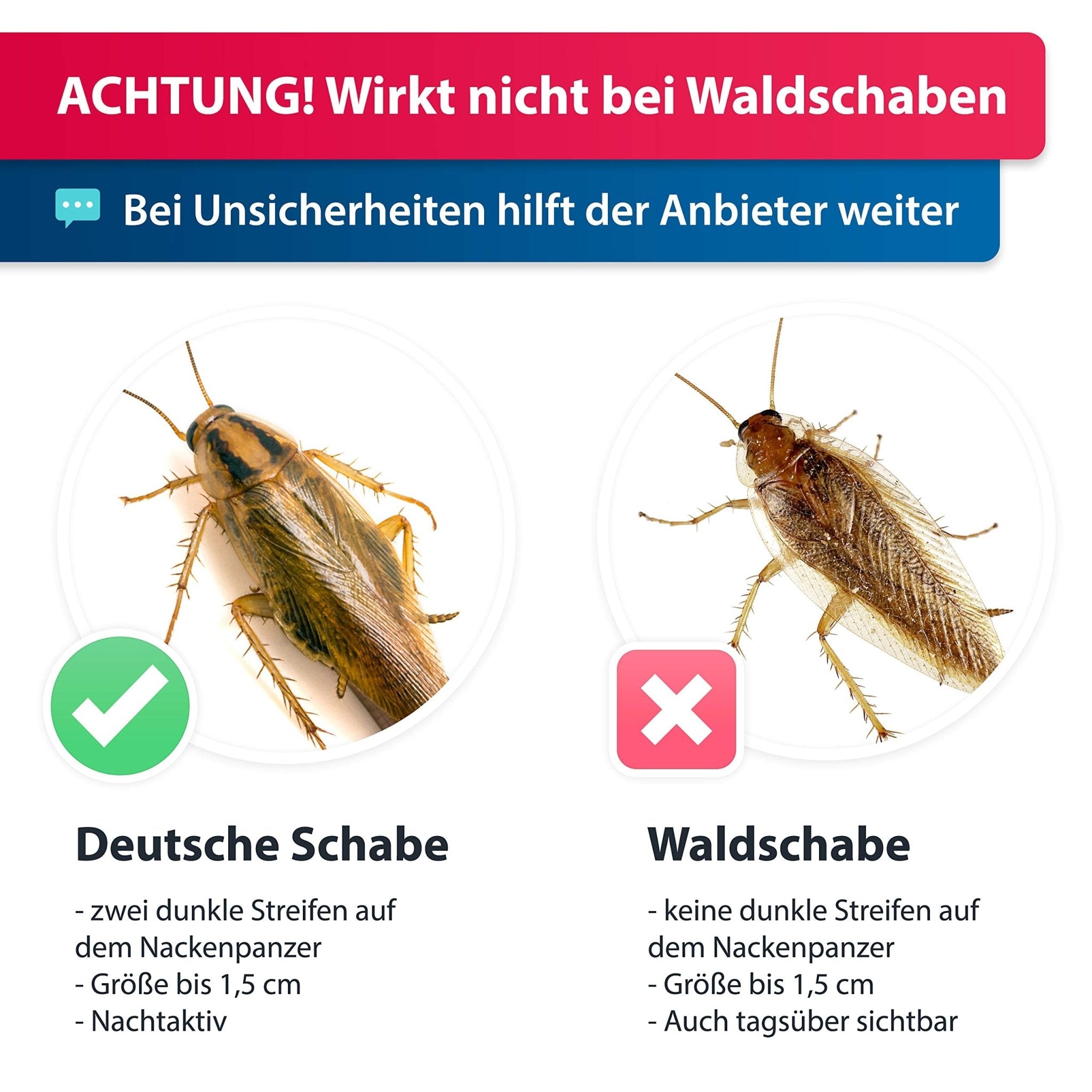 Unterscheidung zwischen Deutscher Schabe und Waldschabe: Wirkung des Produkts nur bei Deutscher Schabe garantiert