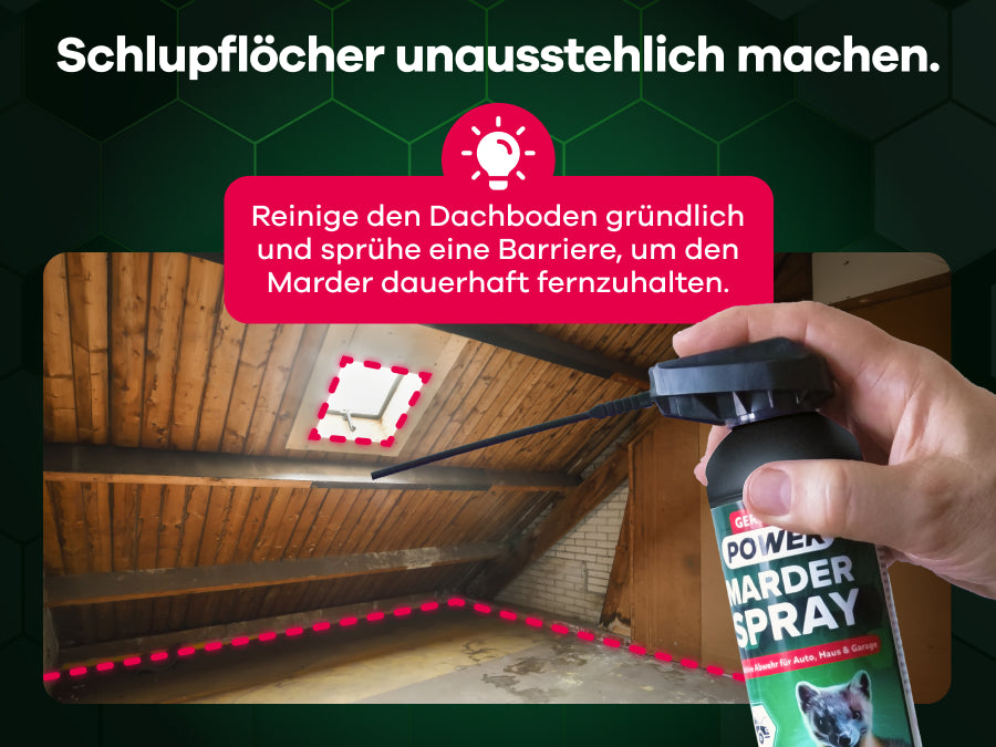 Marderspray wird auf Dachboden gesprüht