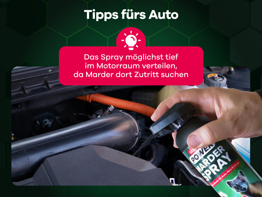 Marderspray wird in Motorraum gesprüht