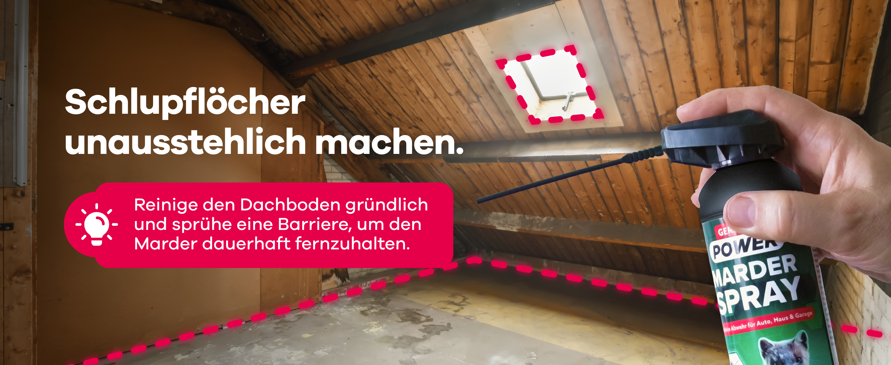 Maderspray wird auf Dachboden gesprüht