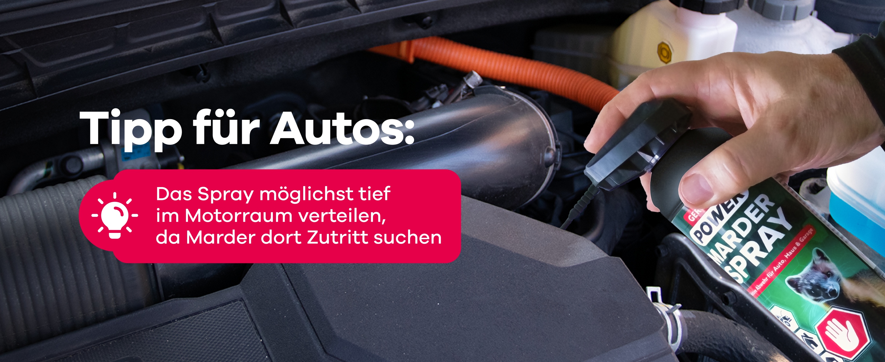Mader Spray wird in Motorraum gesprüht