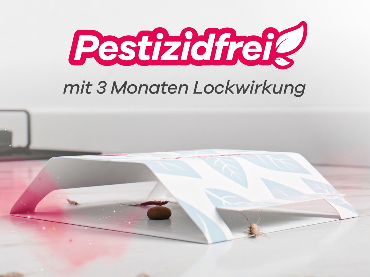 Silberfische in Silberfischfalle