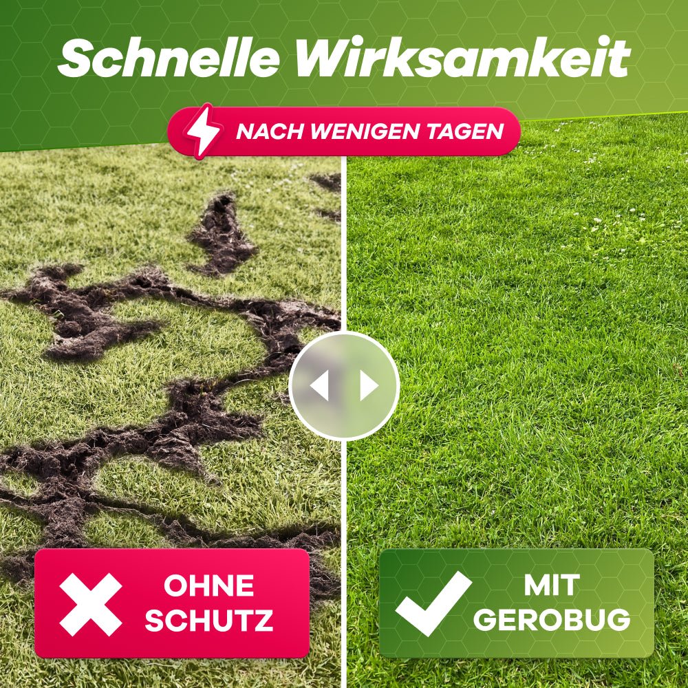 Effektiver Rasenschutz mit Gerobug: Deutliche Verbesserung nach nur wenigen Tagen Anwendung