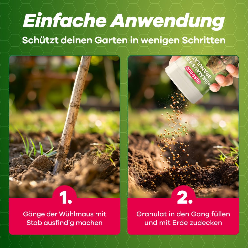 Effektiver Schutz vor Wühlmäusen durch gezielte Anwendung von Granulat im Garten