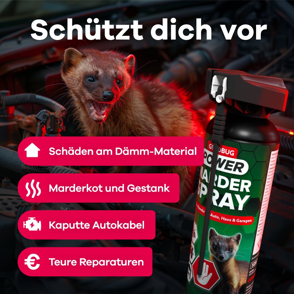 Effektiver Schutz gegen Marder mit Gerobug Spray: Vermeidet Gestank, Kabelschäden und hohe Reparaturkosten