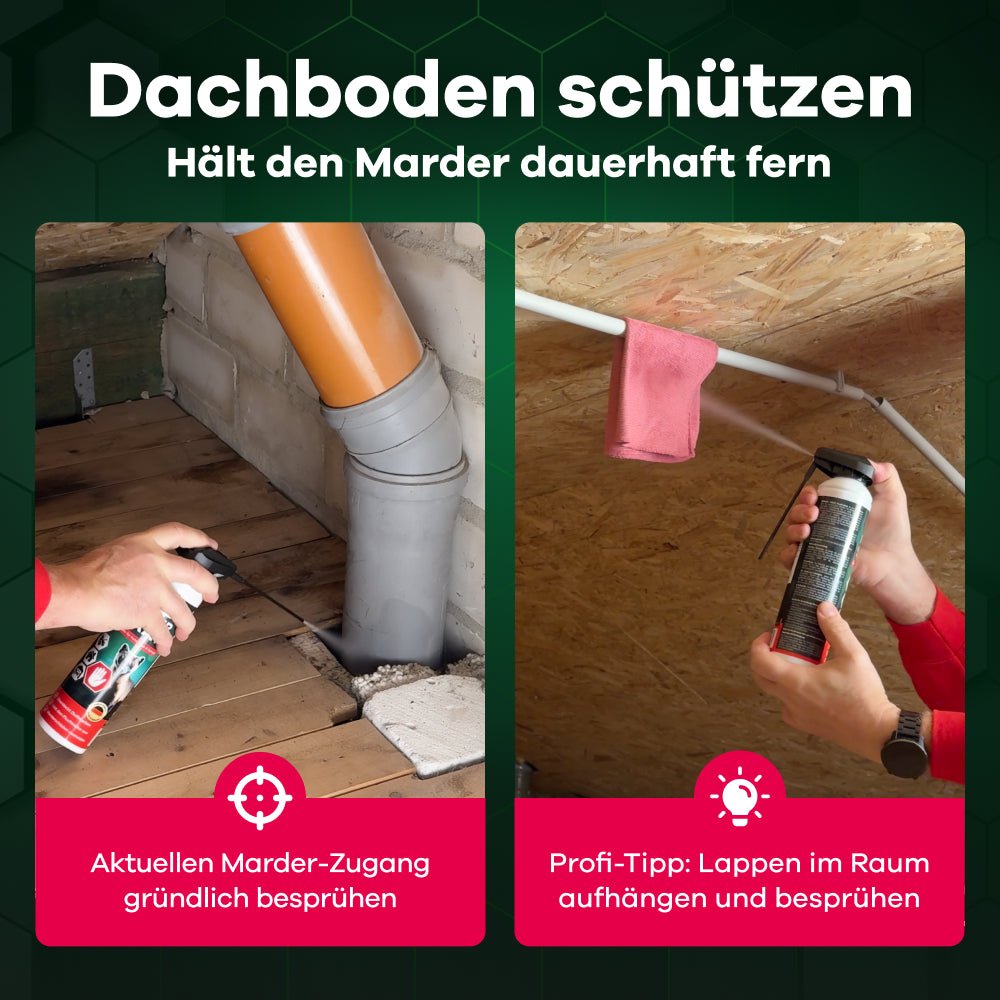 Dachboden vor Mardern schützen: Zugangsstellen besprühen und Lappen im Raum aufhängen für langfristige Abwehr