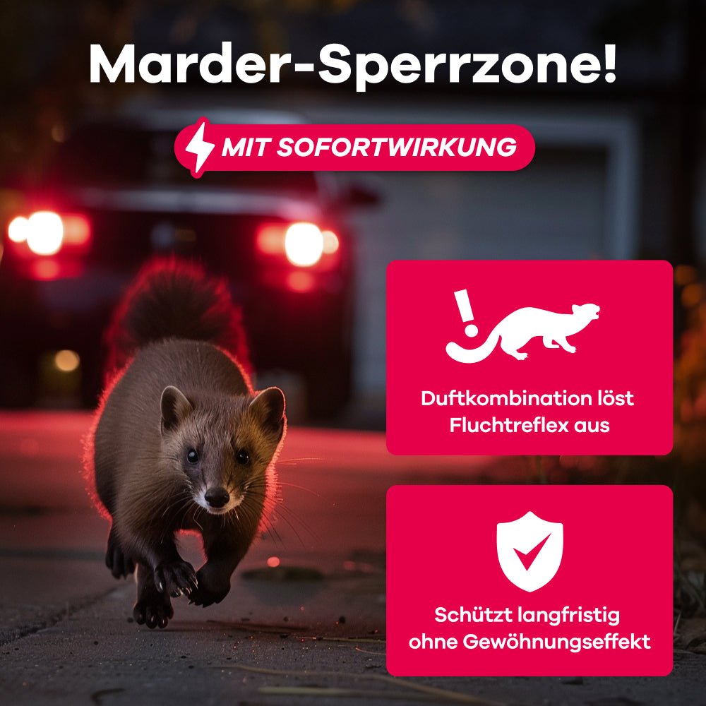 Effektives Marderspray mit Sofortwirkung: Löst Fluchtreflex aus und schützt dauerhaft ohne Gewöhnungseffekt