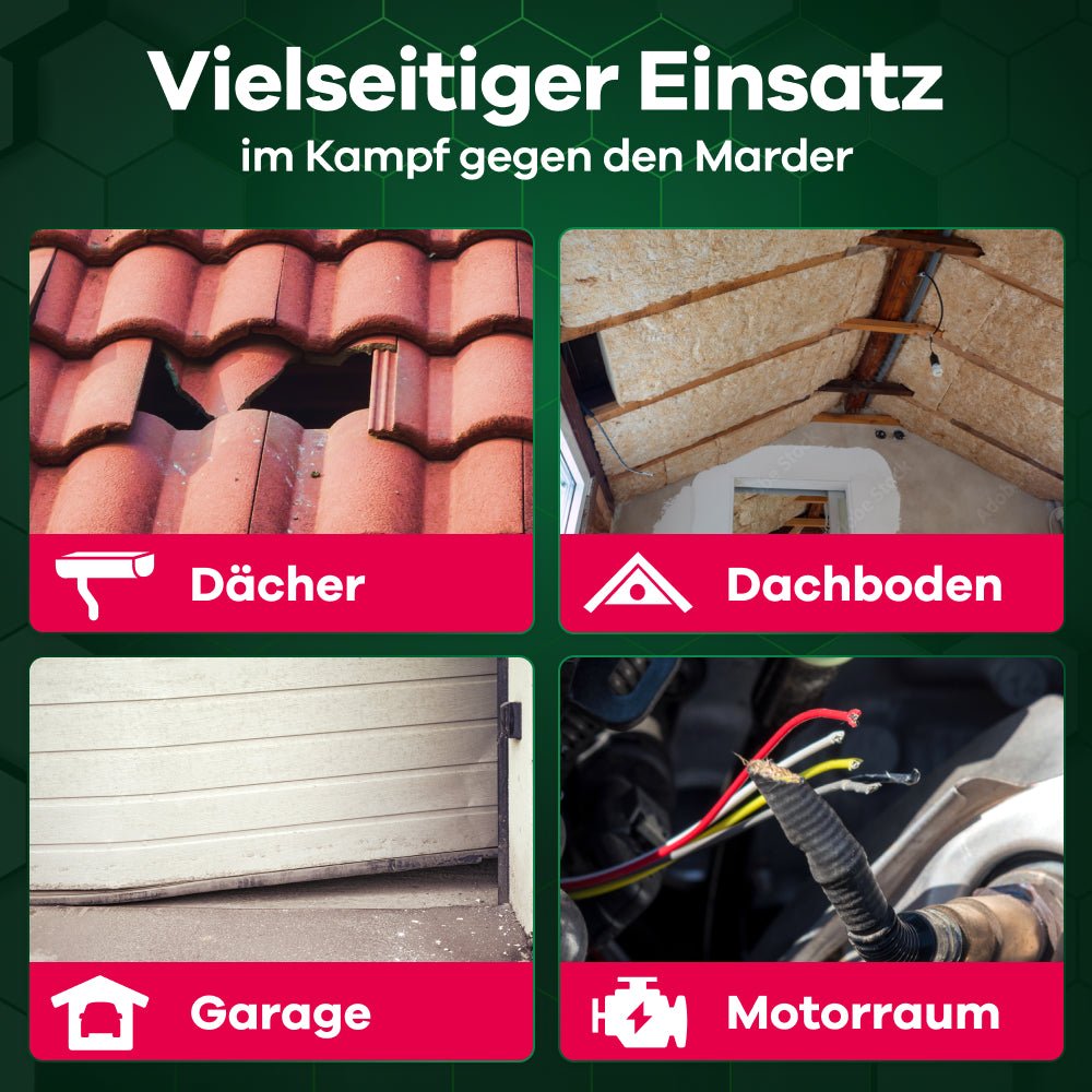 Effektiver Einsatz gegen Marder: Schützt Dächer, Dachböden, Garagen und Autos vor Marderschäden