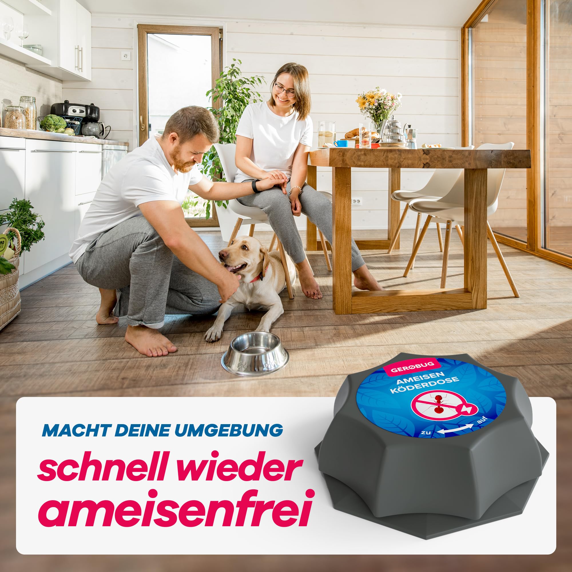 Ein Paar streichelt einen Hund in einer hellen Küche. Im Vordergrund ist eine Ameisenköderstation mit der Aufschrift „Köderdosen“