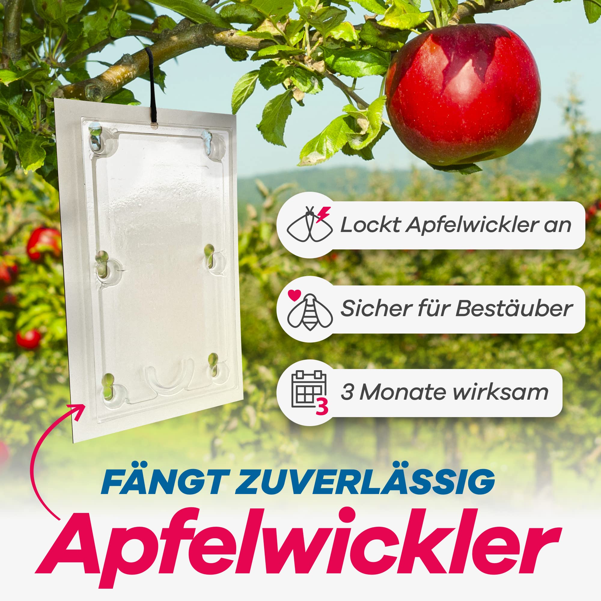 Ein Apfelbaum mit einer hängenden Pheromonfalle; Symbole zeigen an, dass es für Bestäuber sicher und 3 Monate lang wirksam ist.