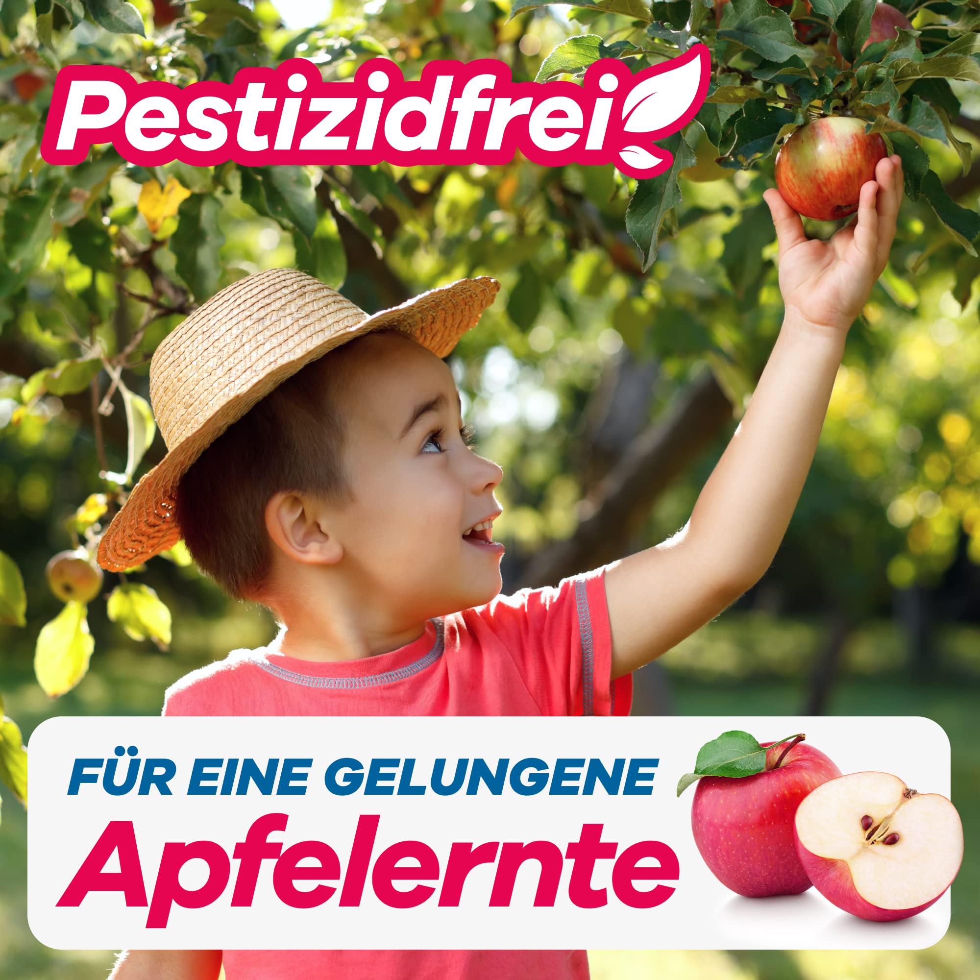 Ein Kind greift nach einem Apfel auf einem Baum und lächelt unter einem Strohhut. Der Text lautet „Pestizidfrei“ und „Für eine gelungene Apfelernte mit der GEROBUG Apfelwickler-Pheromonfalle“.