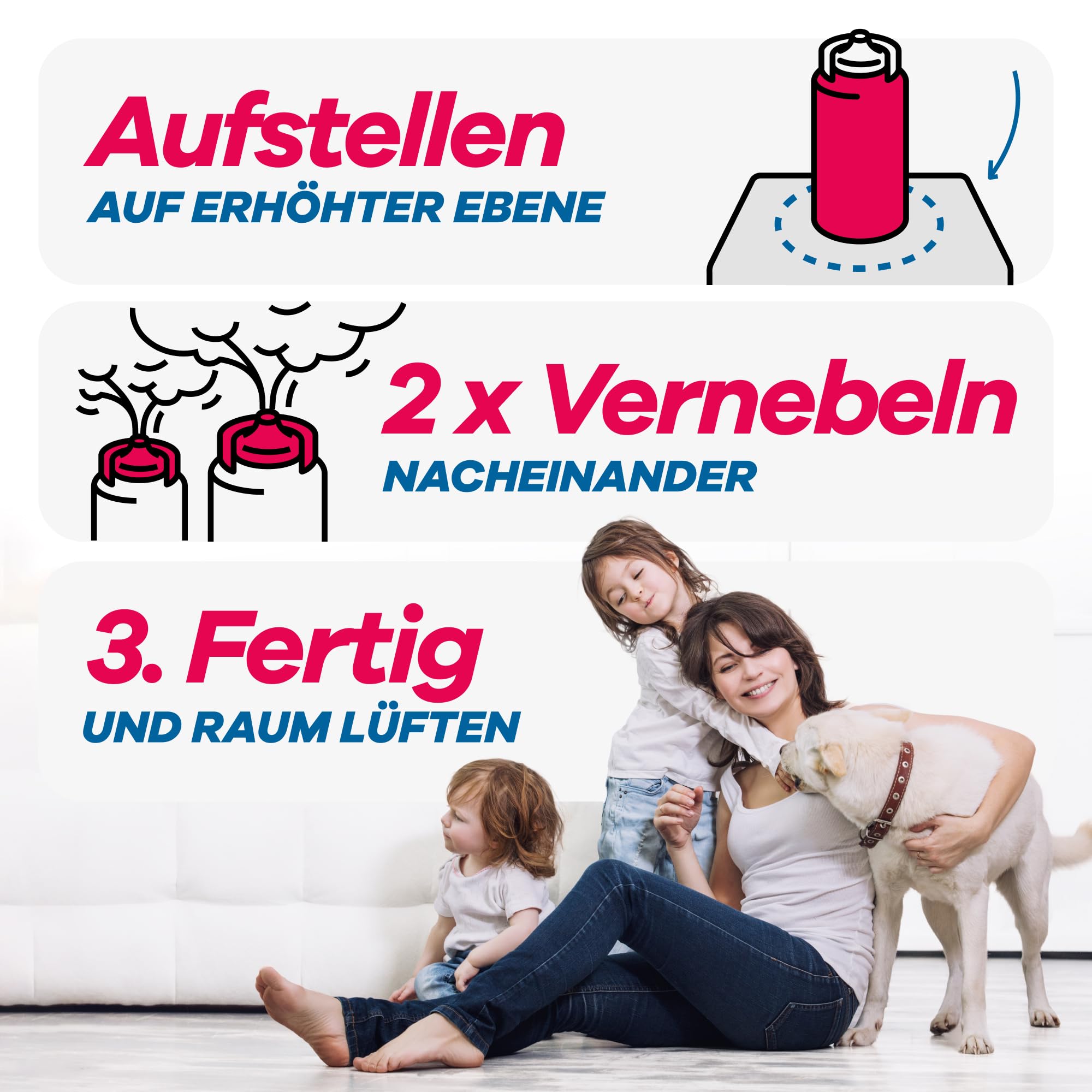 Floh-Vernebler-Anwendung in drei einfachen Schritten