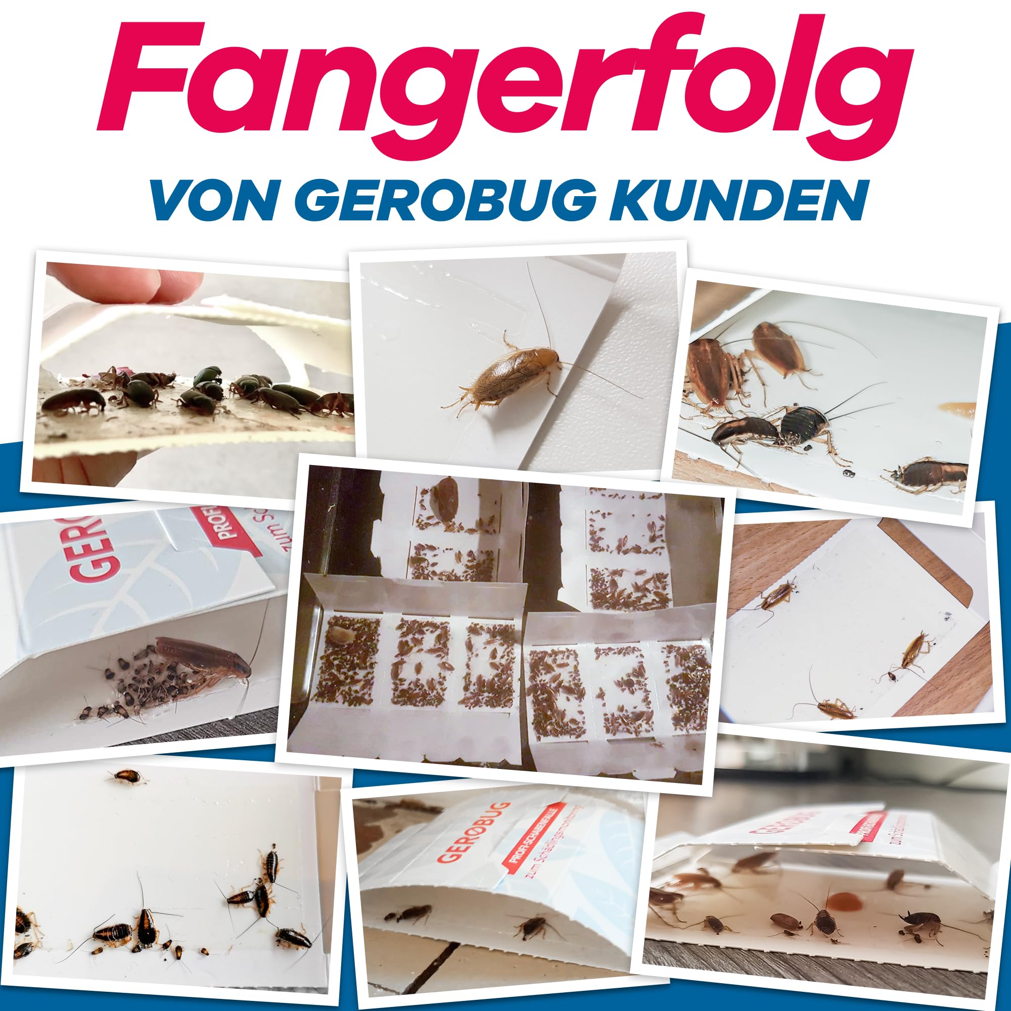 Gerobug Schaben-Falle im Einsatz: Zufriedene Kunden teilen beeindruckende Ergebnisse ihrer Schädlingsbekämpfung