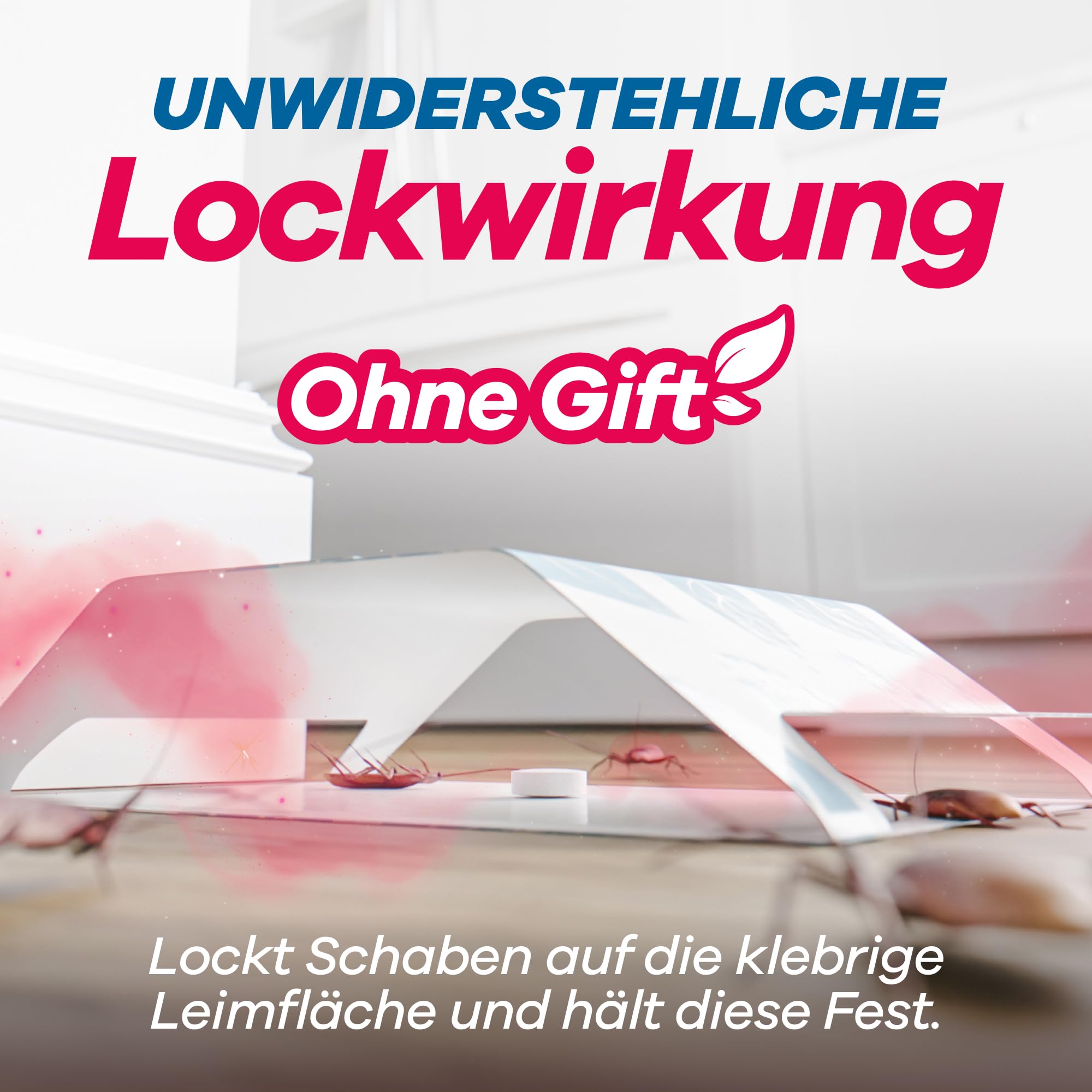 Gerobug Falle lockt Schaben ohne Gift an, hält sie sicher auf der klebrigen Leimfläche fest