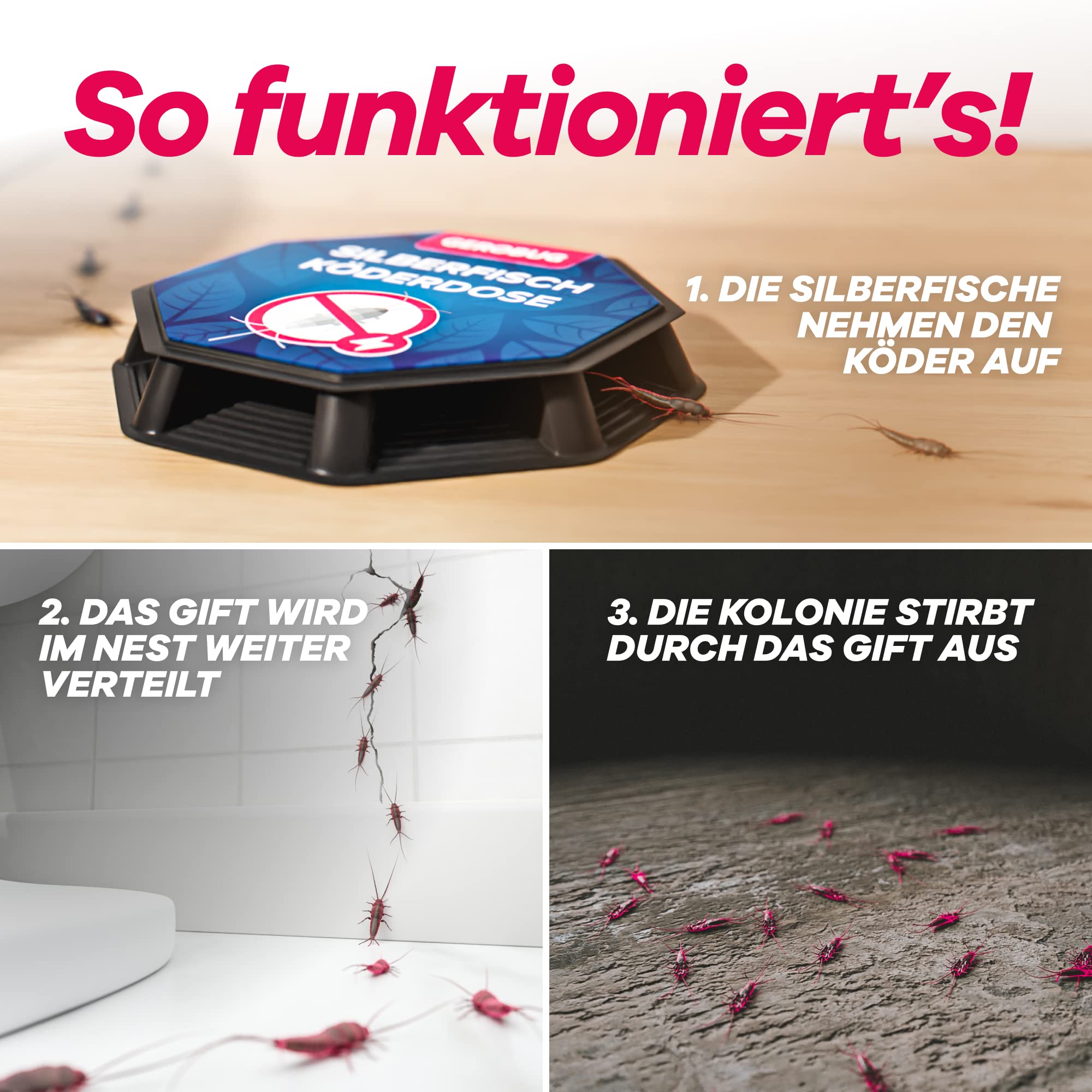Funktionsweise eines Silberfischköders: Aufnahme, Verteilung und Aussterben der Kolonie