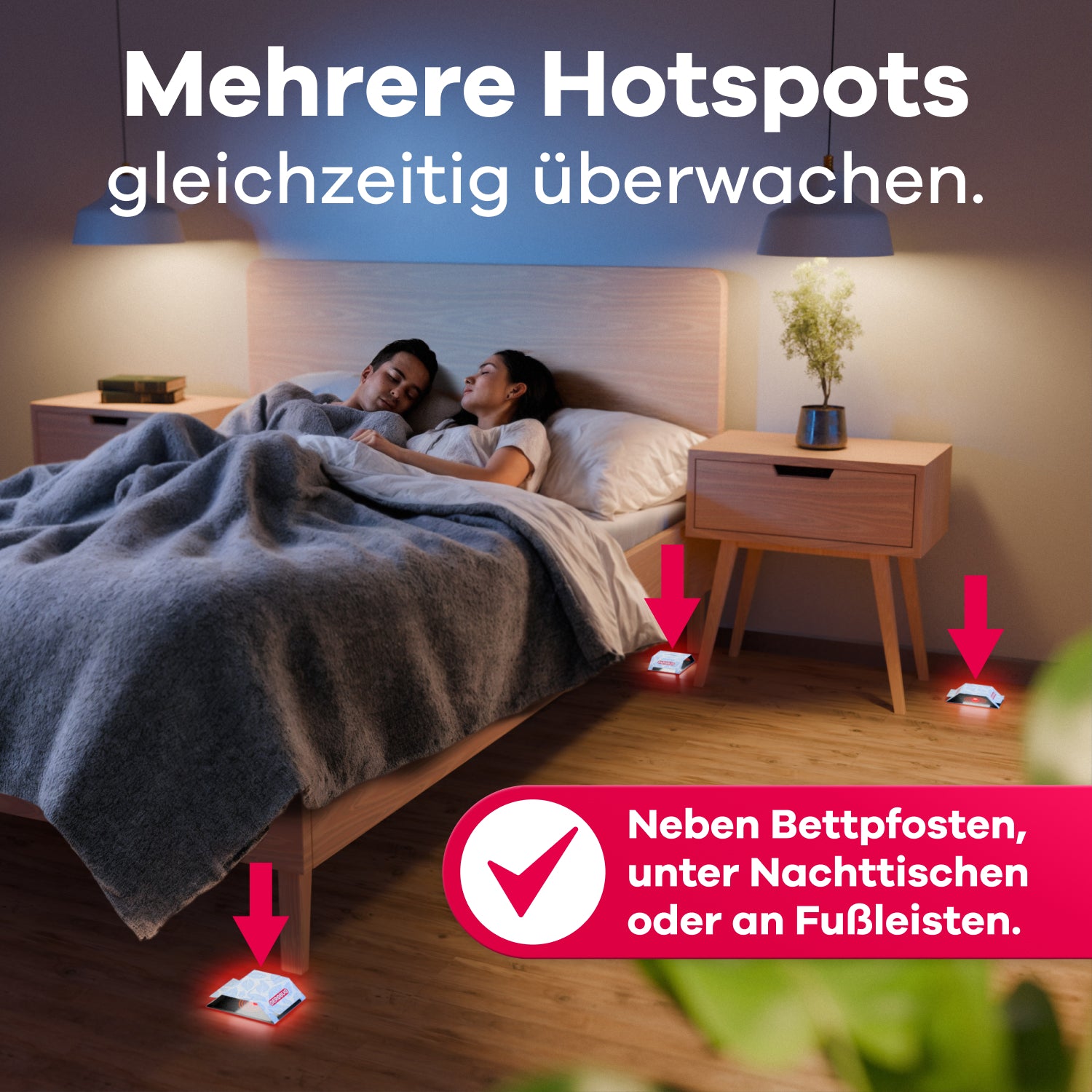 Bettwanzen-Falle