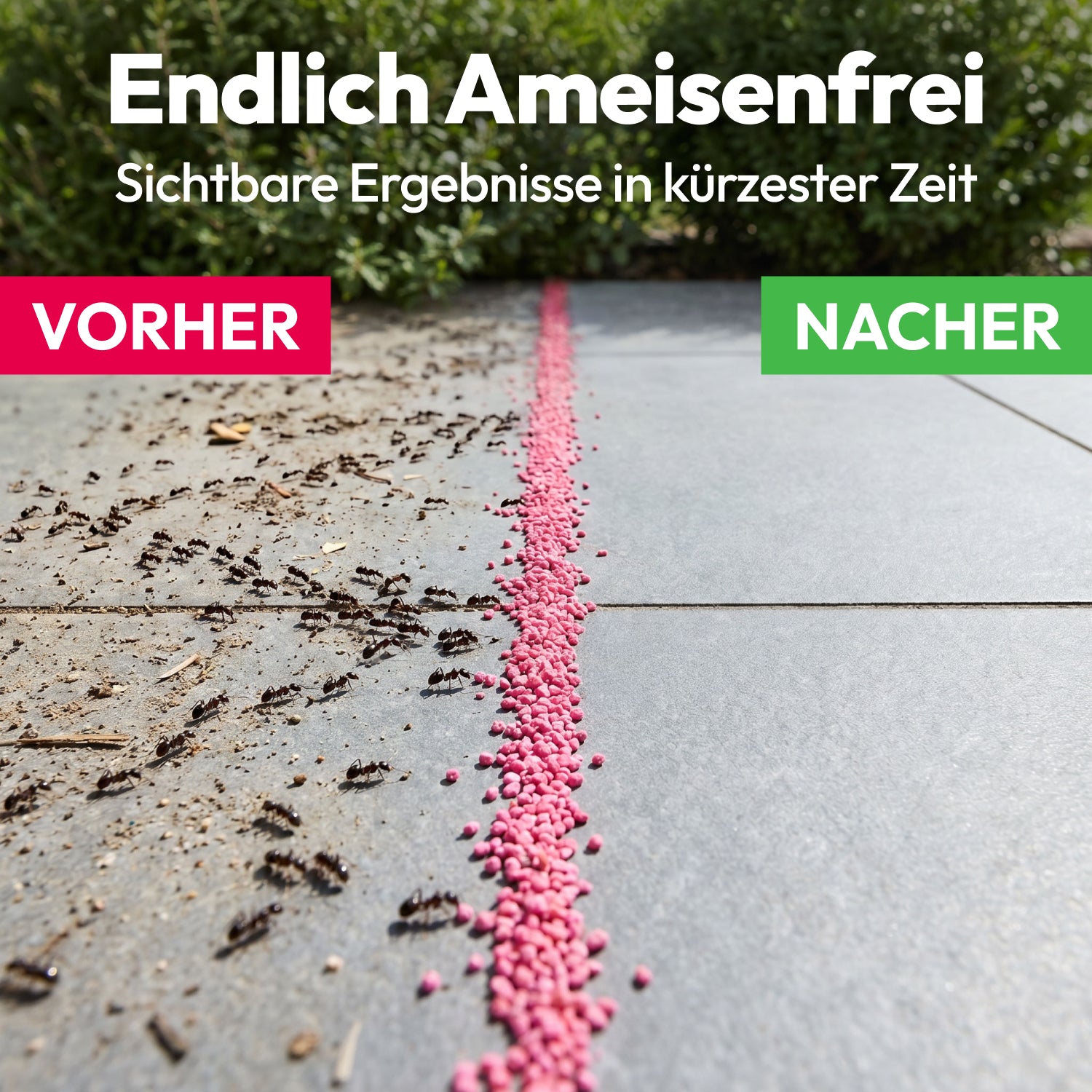 Ameisen-Frei Granulat